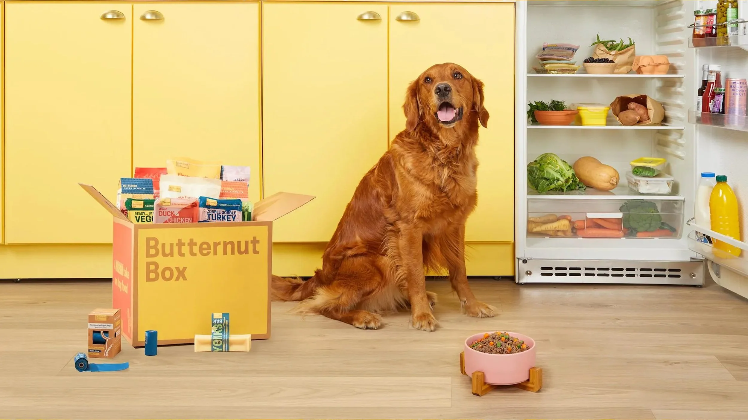 Butternut Box brand imagery from the current Cutting Horse website