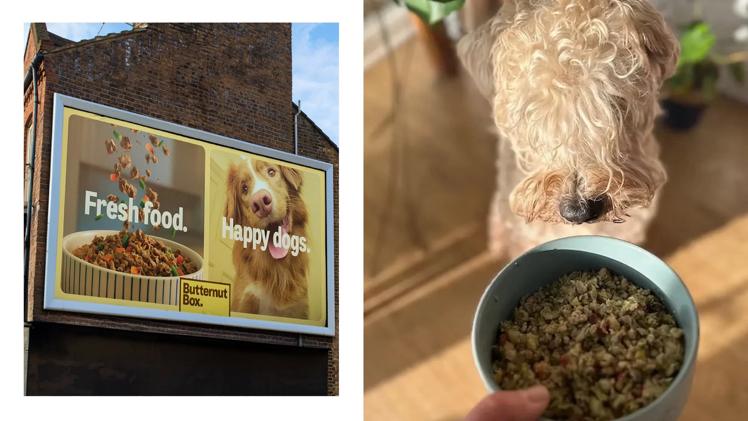 Butternut Box product imagery from the current Cutting Horse website