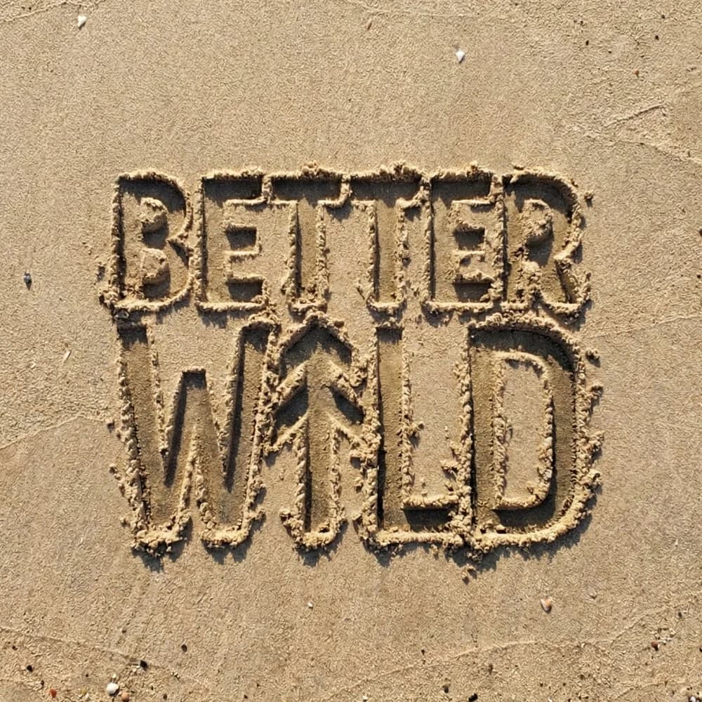 BetterWild written in sand at the beach