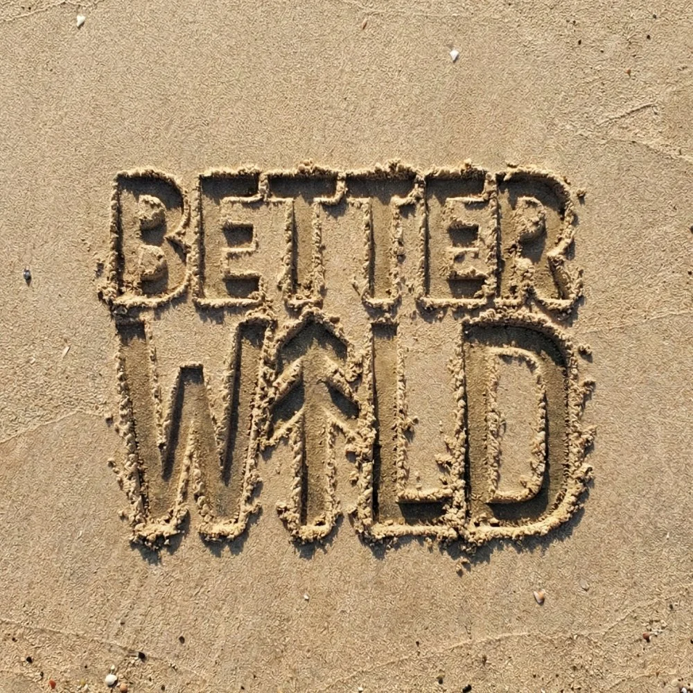 BetterWild written in sand at the beach