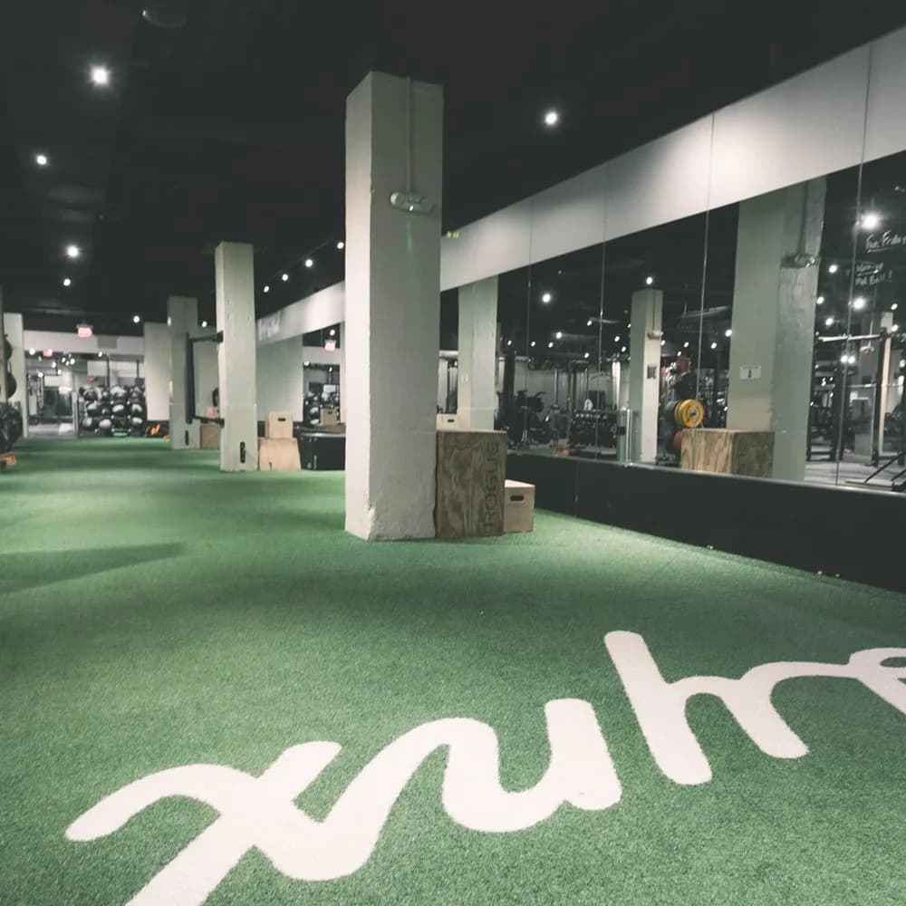 Lynx Fitness Club interior